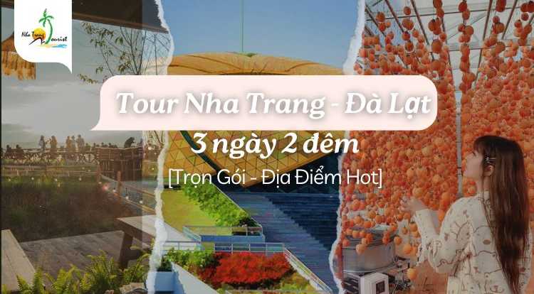 Tour Nha Trang - Đà Lạt 3 ngày 2 đêm [Trọn Gói - Địa Điểm Hot]